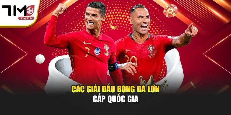 Các Giải Đấu Bóng Đá Lớn: Tổng Hợp Chi Tiết Tại 7M Các giải đấu bóng đá lớn cấp quốc gia