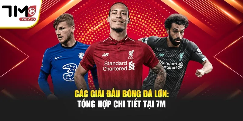 Các Giải Đấu Bóng Đá Lớn: Tổng Hợp Chi Tiết Tại 7M Các Giải Đấu Bóng Đá Lớn: Tổng Hợp Chi Tiết Tại 7M