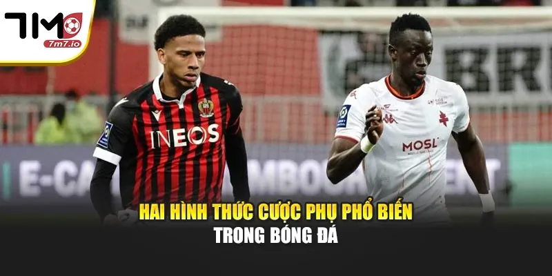 Tìm Hiểu Kèo Penalty Và Kèo Phạt Góc Khác Nhau Thế Nào? Hai hình thức cược phụ phổ biến trong bóng đá