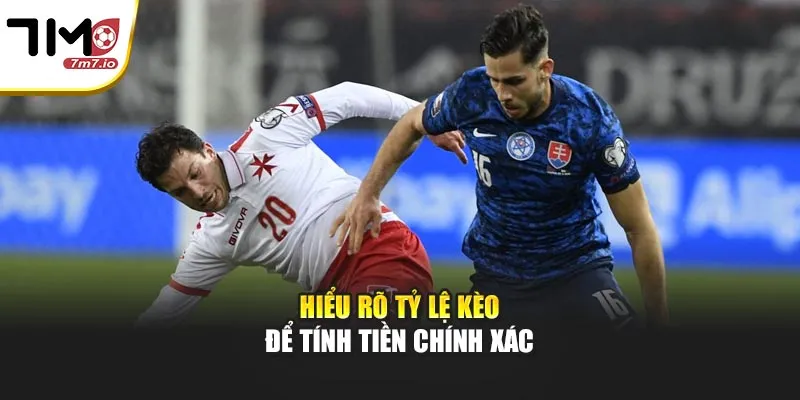 Cách Tính Tiền Cược – Hướng Dẫn Tính Thắng Thua Chi Tiết Từ A Đến Z Hiểu rõ tỷ lệ kèo để tính tiền chính xác