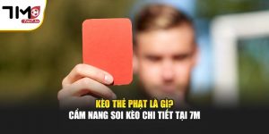Kèo Thẻ Phạt Là Gì? Cẩm Nang Soi Kèo Chi Tiết Tại 7M