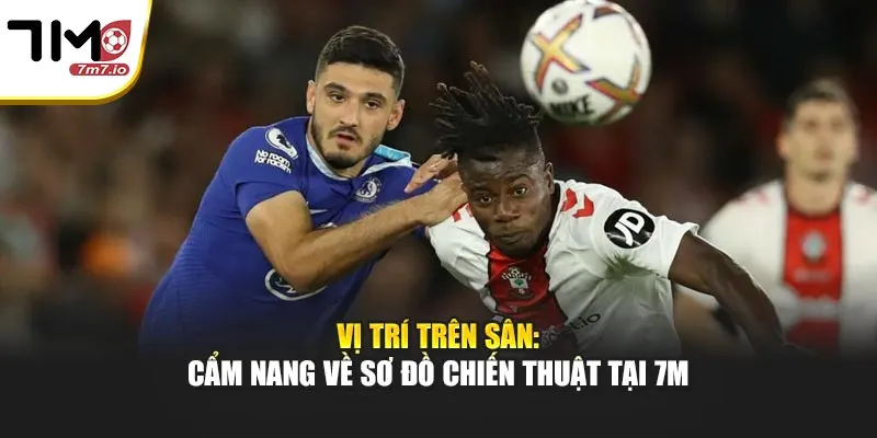 Vị Trí Trên Sân: Cẩm Nang Về Sơ Đồ Chiến Thuật Tại 7M