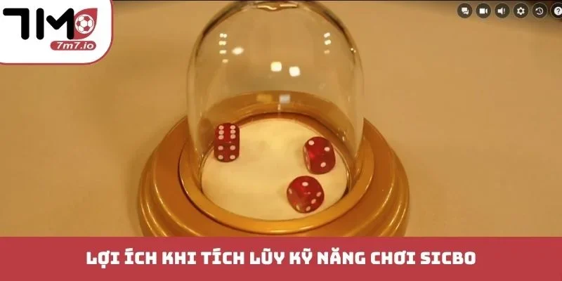 Lợi ích khi tích lũy kỹ năng chơi Sicbo