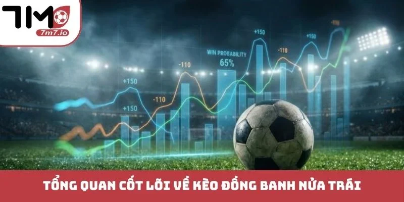 Kèo Đồng Banh Nửa Trái - Thách Thức Bản Lĩnh Cao Thủ Tổng quan cốt lõi về kèo đồng banh nửa trái